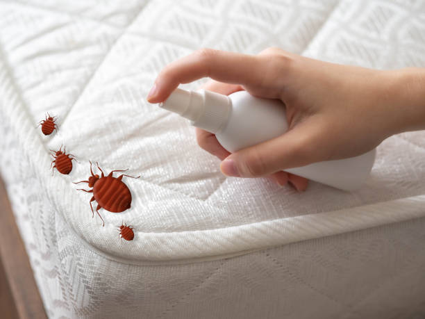 Best Pest Prevention Services  in Grafton, ND